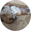 Diana U. profile picture